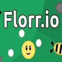 Florr io | Флор ио играть онлайн